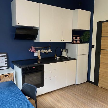 Przytulny I Nowoczesny Apartament Malgosi, 10 Min Pieszo Od Dworca I Galerii Katovice Exteriér fotografie