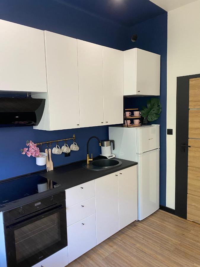 Przytulny I Nowoczesny Apartament Malgosi, 10 Min Pieszo Od Dworca I Galerii Katovice Exteriér fotografie